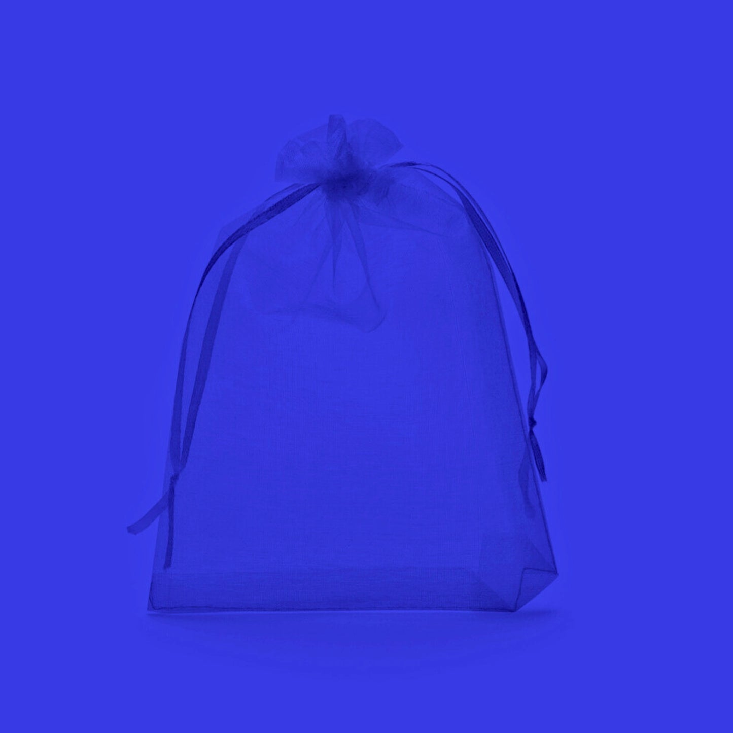 Small Gift Bag