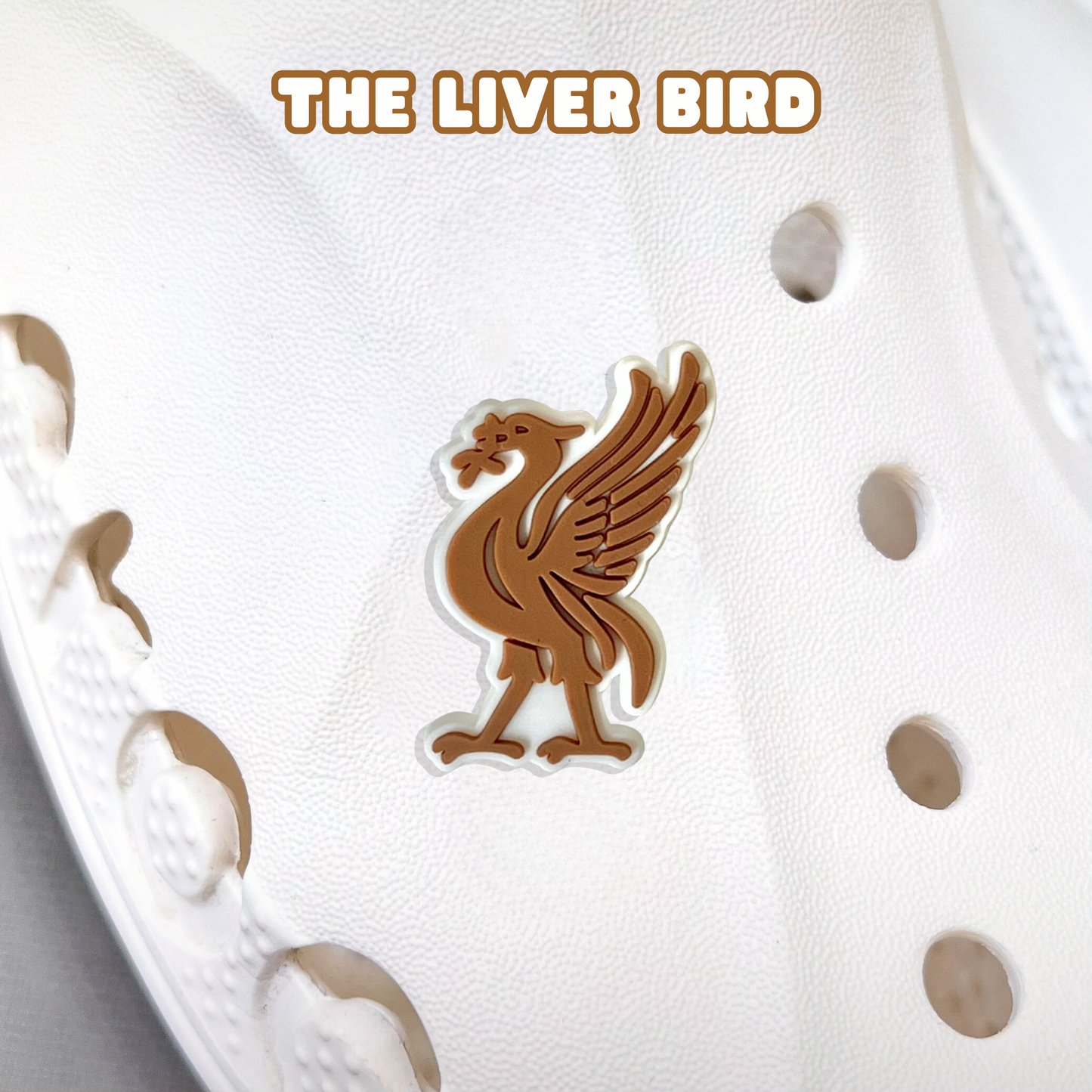 The Liver Bird / LFC