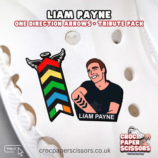 Liam Payne | Arrows + Portrait